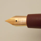 Vintage Butterfly Indian Eye Dropper Fountain Pen (NOS) - Red Demonstrator