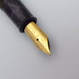 Airmail/Wality 69LG Eyedropper Fountain Pen - Purple Marbled