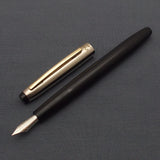 V'Sign Neo Piston Filler Fountain Pen with Kanwrite Semi Flex Nib - Black