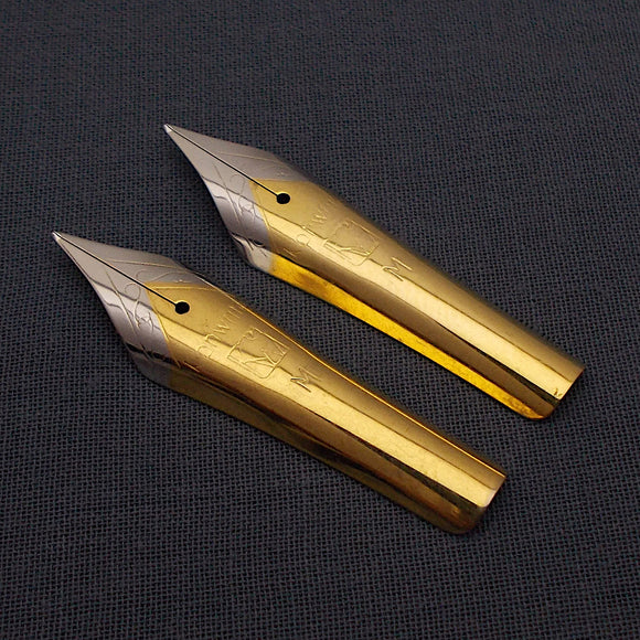 Set of 2 Kanwrite No.6 35mm Medium (M) Fountain Pen Nibs - TTF