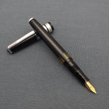 Vintage Dilip Eyedropper Fountain Pen #1 - Black