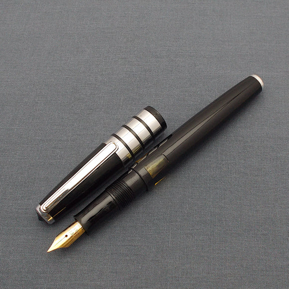 Vintage Dilip Eyedropper Fountain Pen #1 - Black