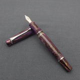 Kanwrite Heritage Piston Filler Fountain Pen - Purple/White/Brown Marble