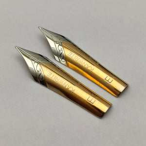 Set of 2 Kanwrite #5.5 Flex EF Fountain Pen Nibs - TTF