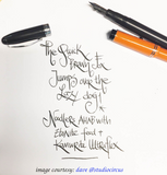Set of 2 Kanwrite No.6 (35 mm) F Ultra Flex Fountain Pen Nibs