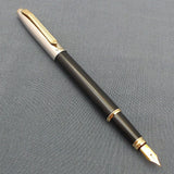 V’Sign Stride Black Fountain Pen with Vintage Swan (Ambitious) Nib