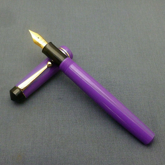 Click Aristocrat Fountain Pen 3-in-1 Filling - Fine Nib - Gold Trim - Purple