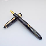 Airmail/Wality 69LG Eyedropper Fountain Pen - Blue Marbled
