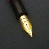 Click Aristocrat Fountain Pen 3-in-1 Filling - Fine Nib - Gold Trim - Pink