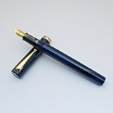 Click Bamboo Marble Eyedropper Fountain Pen - Dark Blue Marbled